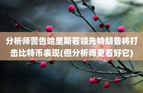 分析师警告哈里斯若领先特朗普将打击比特币表现(但分析师更看好它)