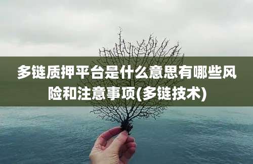 多链质押平台是什么意思有哪些风险和注意事项(多链技术)