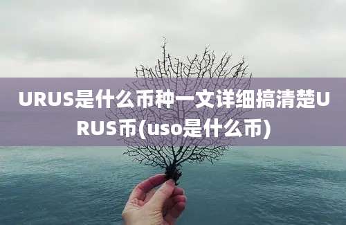 URUS是什么币种一文详细搞清楚URUS币(uso是什么币)