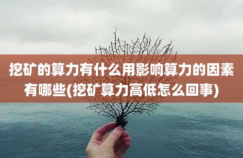 挖矿的算力有什么用影响算力的因素有哪些(挖矿算力高低怎么回事)