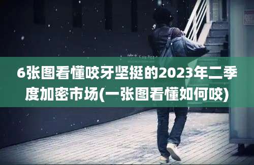 6张图看懂咬牙坚挺的2023年二季度加密市场(一张图看懂如何咬)