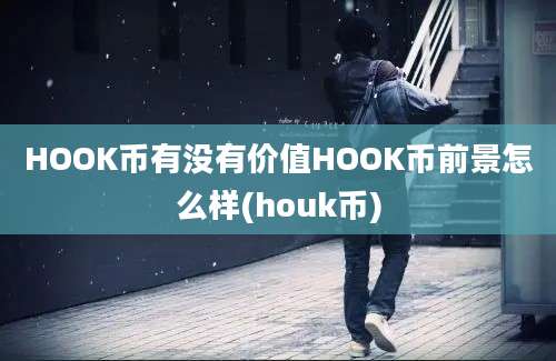 HOOK币有没有价值HOOK币前景怎么样(houk币)