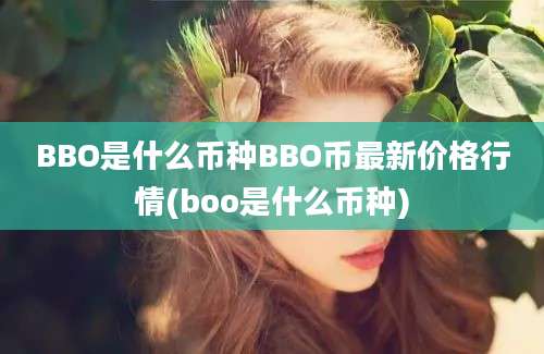 BBO是什么币种BBO币最新价格行情(boo是什么币种)