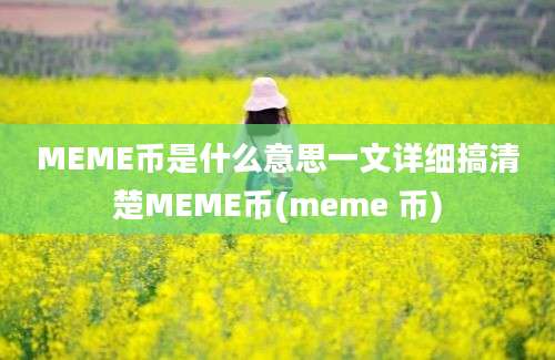 MEME币是什么意思一文详细搞清楚MEME币(meme 币)