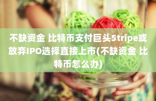 不缺资金 比特币支付巨头Stripe或放弃IPO选择直接上市(不缺资金 比特币怎么办)