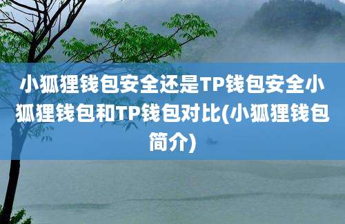 小狐狸钱包安全还是TP钱包安全小狐狸钱包和TP钱包对比(小狐狸钱包简介)