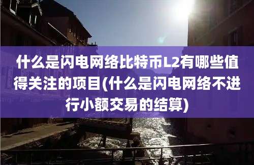 什么是闪电网络比特币L2有哪些值得关注的项目(什么是闪电网络不进行小额交易的结算)