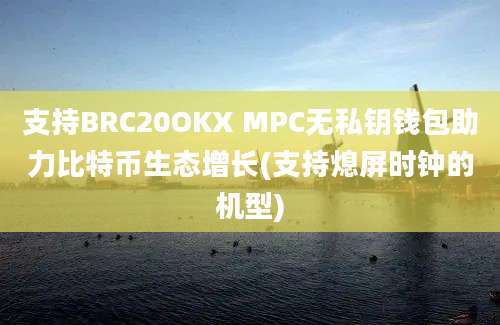 支持BRC20OKX MPC无私钥钱包助力比特币生态增长(支持熄屏时钟的机型)