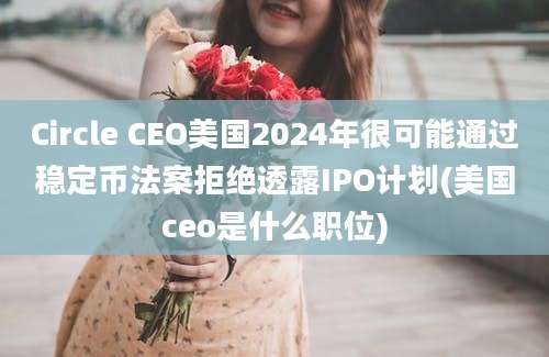 Circle CEO美国2024年很可能通过稳定币法案拒绝透露IPO计划(美国ceo是什么职位)