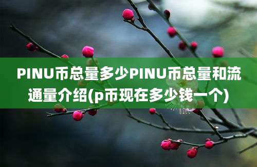 PINU币总量多少PINU币总量和流通量介绍(p币现在多少钱一个)