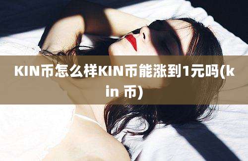 KIN币怎么样KIN币能涨到1元吗(kin 币)