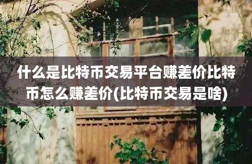 什么是比特币交易平台赚差价比特币怎么赚差价(比特币交易是啥)