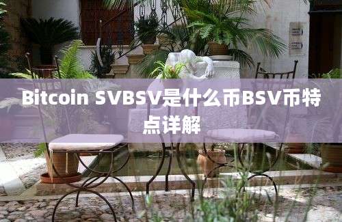 Bitcoin SVBSV是什么币BSV币特点详解