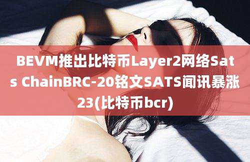 BEVM推出比特币Layer2网络Sats ChainBRC-20铭文SATS闻讯暴涨23(比特币bcr)