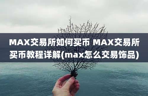 MAX交易所如何买币 MAX交易所买币教程详解(max怎么交易饰品)