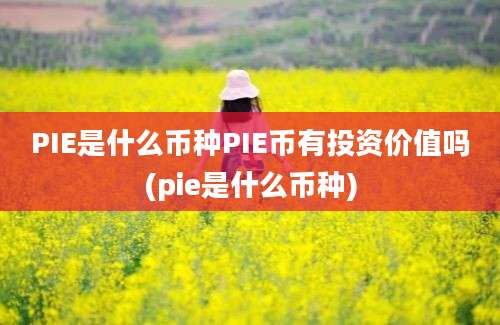 PIE是什么币种PIE币有投资价值吗(pie是什么币种)