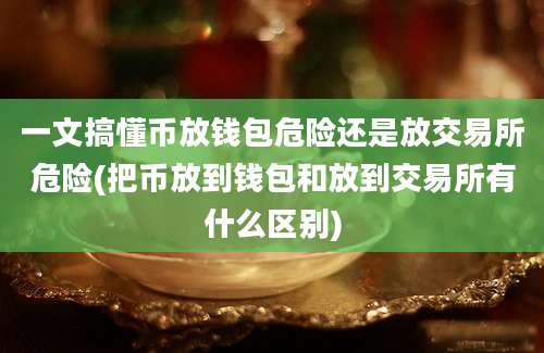 一文搞懂币放钱包危险还是放交易所危险(把币放到钱包和放到交易所有什么区别)