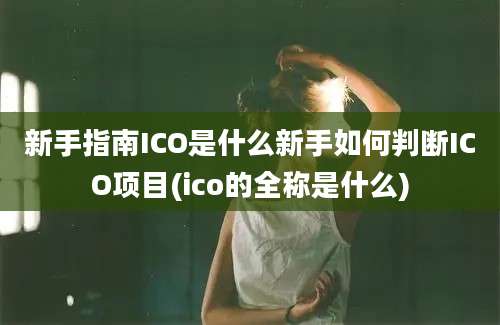 新手指南ICO是什么新手如何判断ICO项目(ico的全称是什么)