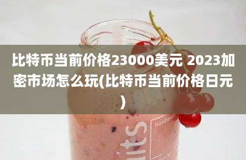 比特币当前价格23000美元 2023加密市场怎么玩(比特币当前价格日元)