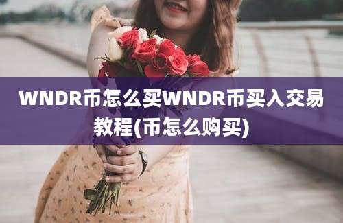 WNDR币怎么买WNDR币买入交易教程(币怎么购买)