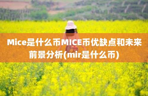 Mice是什么币MICE币优缺点和未来前景分析(mir是什么币)