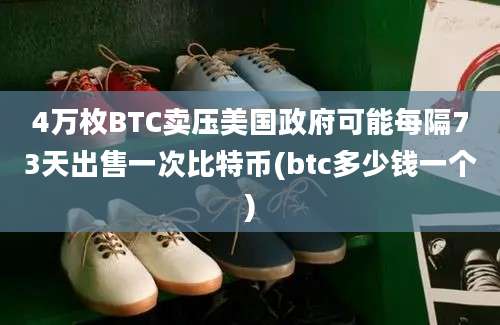 4万枚BTC卖压美国政府可能每隔73天出售一次比特币(btc多少钱一个)