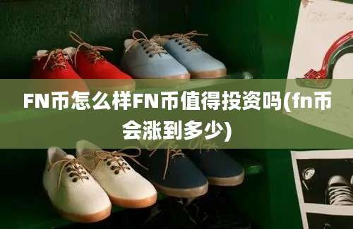 FN币怎么样FN币值得投资吗(fn币会涨到多少)