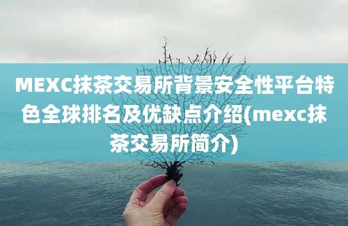 MEXC抹茶交易所背景安全性平台特色全球排名及优缺点介绍(mexc抹茶交易所简介)