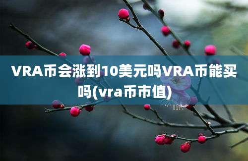 VRA币会涨到10美元吗VRA币能买吗(vra币市值)