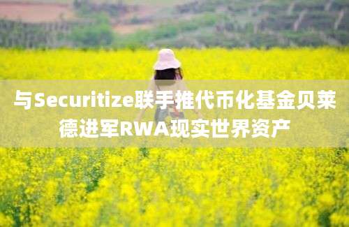 与Securitize联手推代币化基金贝莱德进军RWA现实世界资产