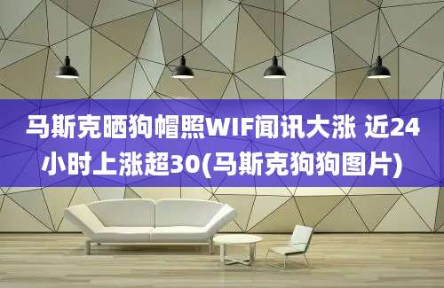 马斯克晒狗帽照WIF闻讯大涨 近24小时上涨超30(马斯克狗狗图片)