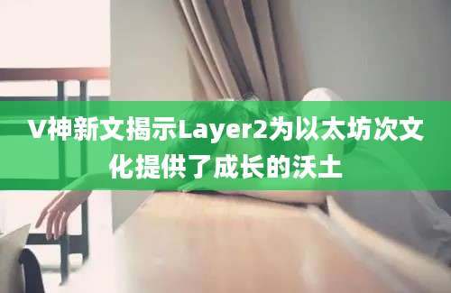 V神新文揭示Layer2为以太坊次文化提供了成长的沃土