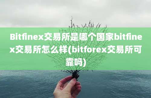 Bitfinex交易所是哪个国家bitfinex交易所怎么样(bitforex交易所可靠吗)