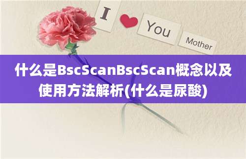 什么是BscScanBscScan概念以及使用方法解析(什么是尿酸)