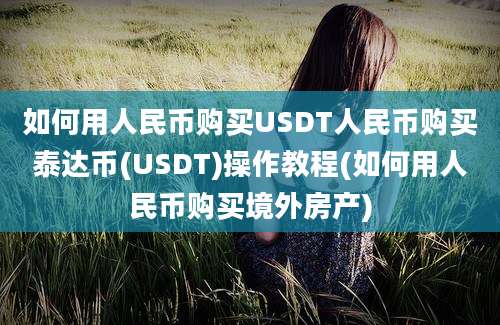 如何用人民币购买USDT人民币购买泰达币(USDT)操作教程(如何用人民币购买境外房产)