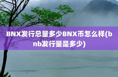 BNX发行总量多少BNX币怎么样(bnb发行量是多少)