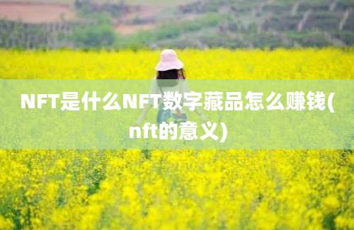 NFT是什么NFT数字藏品怎么赚钱(nft的意义)