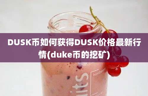 DUSK币如何获得DUSK价格最新行情(duke币的挖矿)