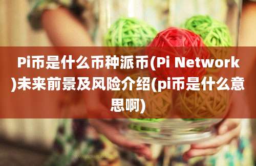 Pi币是什么币种派币(Pi Network)未来前景及风险介绍(pi币是什么意思啊)