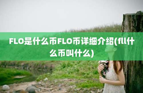 FLO是什么币FLO币详细介绍(fll什么币叫什么)