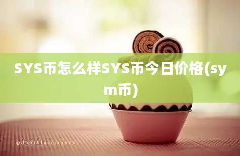 SYS币怎么样SYS币今日价格(sym币)