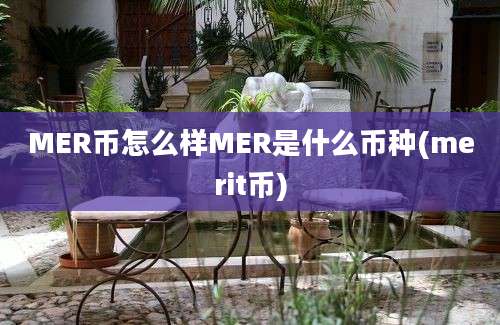 MER币怎么样MER是什么币种(merit币)