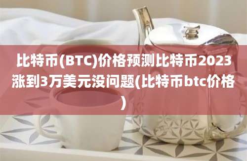 比特币(BTC)价格预测比特币2023涨到3万美元没问题(比特币btc价格)