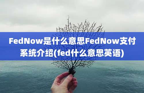 FedNow是什么意思FedNow支付系统介绍(fed什么意思英语)