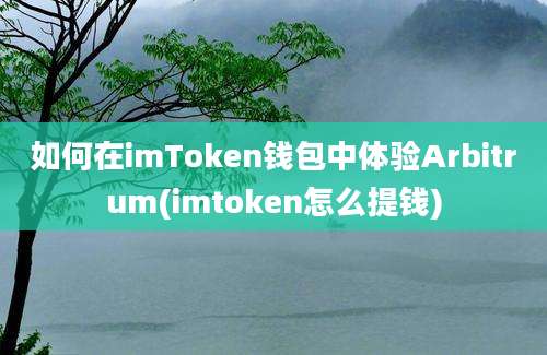 如何在imToken钱包中体验Arbitrum(imtoken怎么提钱)