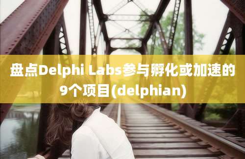 盘点Delphi Labs参与孵化或加速的9个项目(delphian)