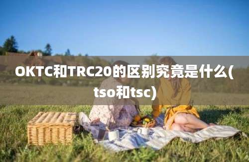 OKTC和TRC20的区别究竟是什么(tso和tsc)