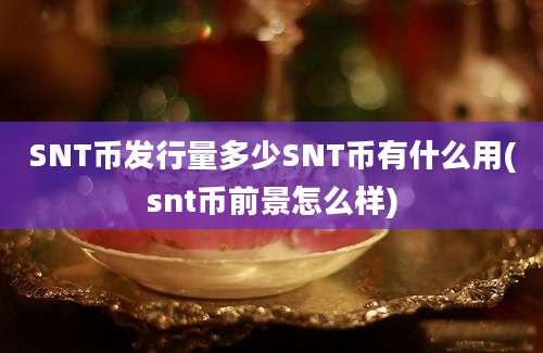 SNT币发行量多少SNT币有什么用(snt币前景怎么样)