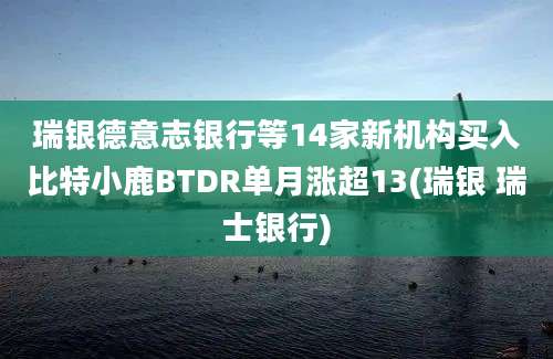 瑞银德意志银行等14家新机构买入比特小鹿BTDR单月涨超13(瑞银 瑞士银行)