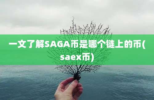 一文了解SAGA币是哪个链上的币(saex币)